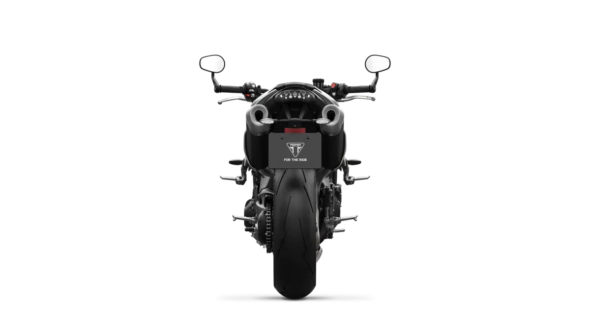 Triumph Speed Triple 1050 Speed Triple 1050 S (2018 - 20) (8)