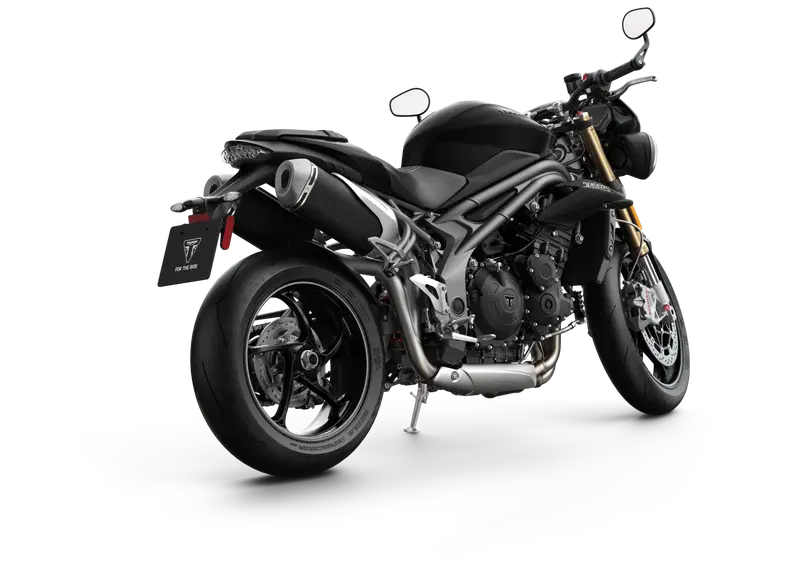 Triumph Speed Triple 1050 Speed Triple 1050 S (2018 - 20) (9)