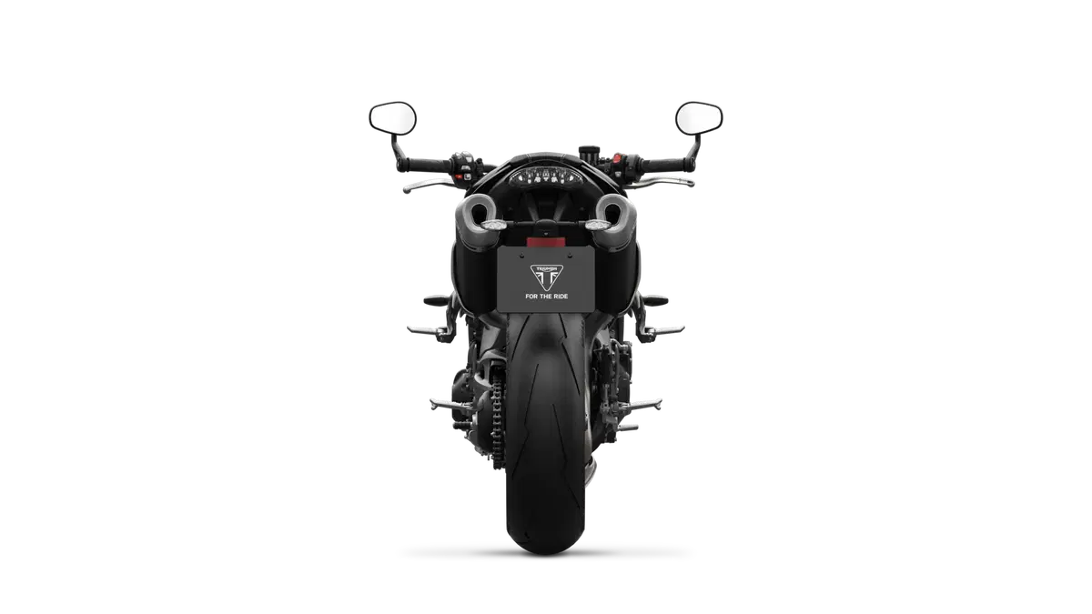 Triumph Speed Triple 1050 Speed Triple 1050 S (2018 - 20) (10)