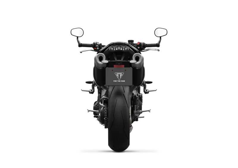 Triumph Speed Triple 1050 Speed Triple 1050 S (2018 - 20) (10)