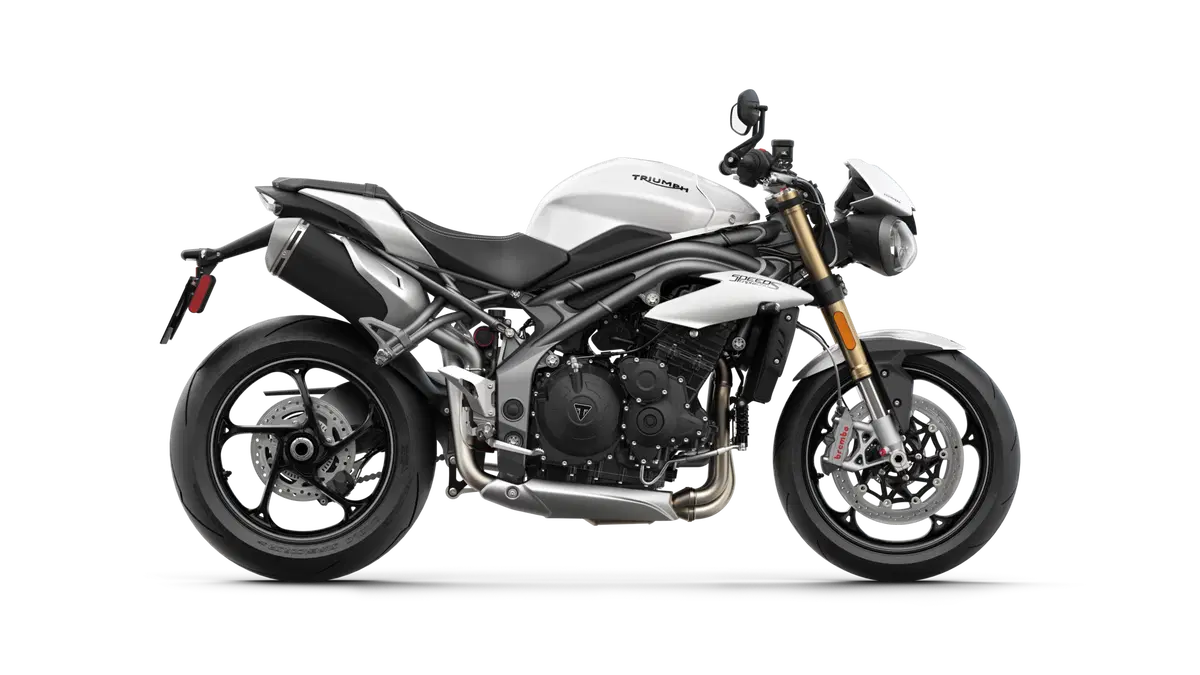 Triumph Speed Triple 1050 Speed Triple 1050 S (2018 - 20) (13)