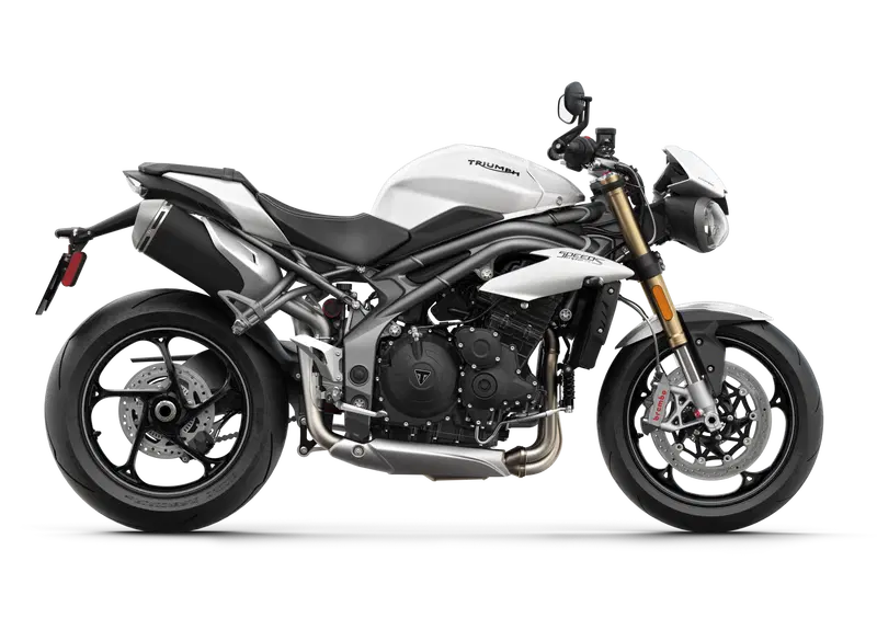 Triumph Speed Triple 1050 Speed Triple 1050 S (2018 - 20) (13)