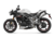 Triumph Speed Triple 1050 RS (2018 - 20) (9)