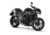 Triumph Speed Triple 1050 RS (2018 - 20) (10)