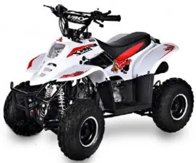  Altre moto o tipologie Minimoto nuova