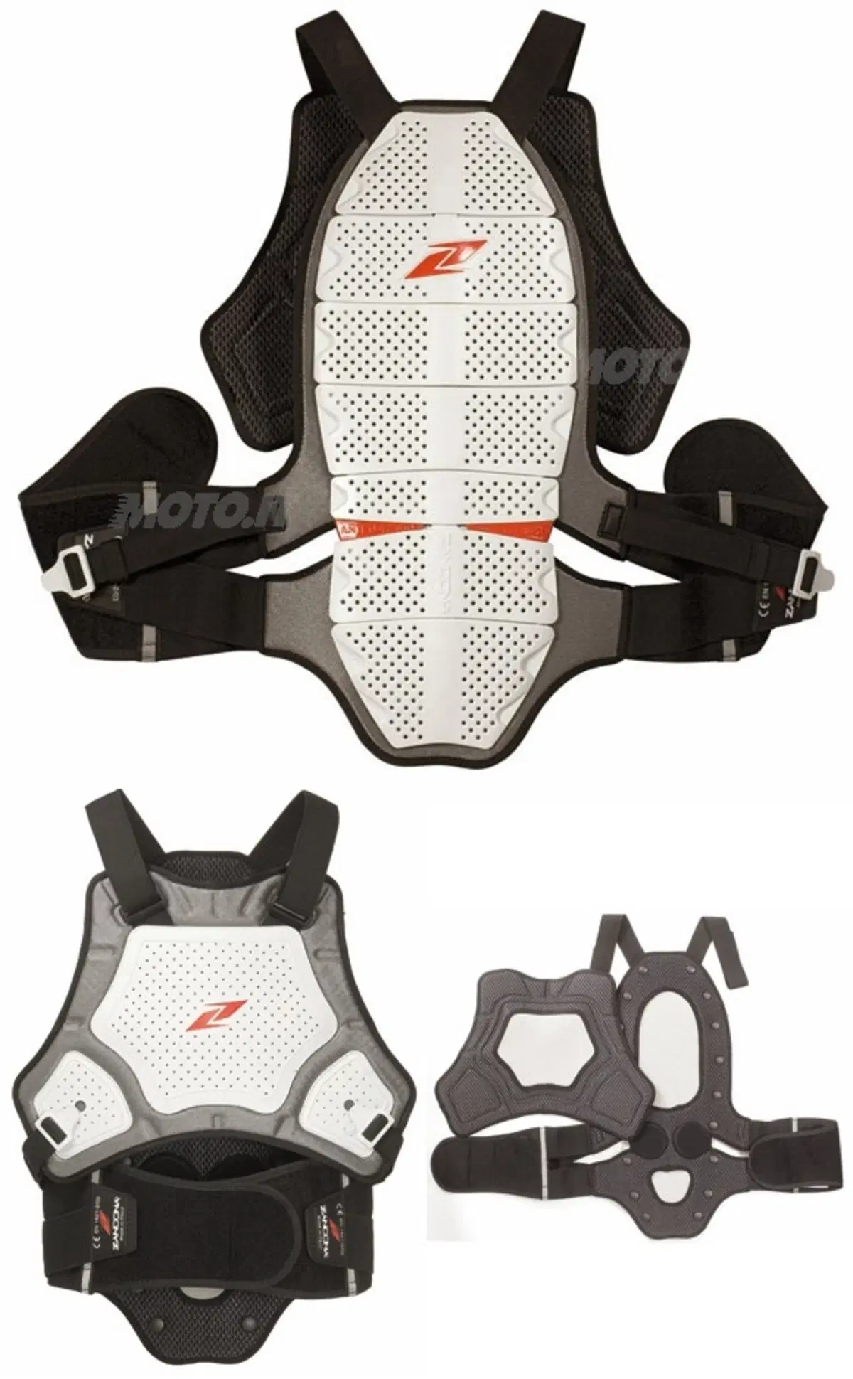 Shark Armour