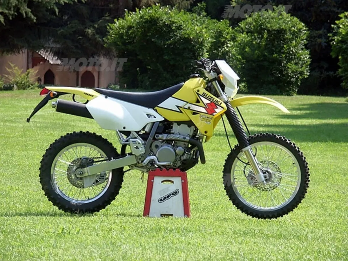 SUZUKI (2)