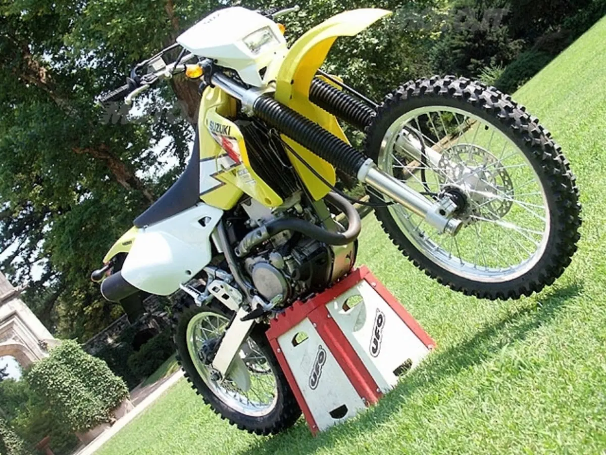 SUZUKI (3)