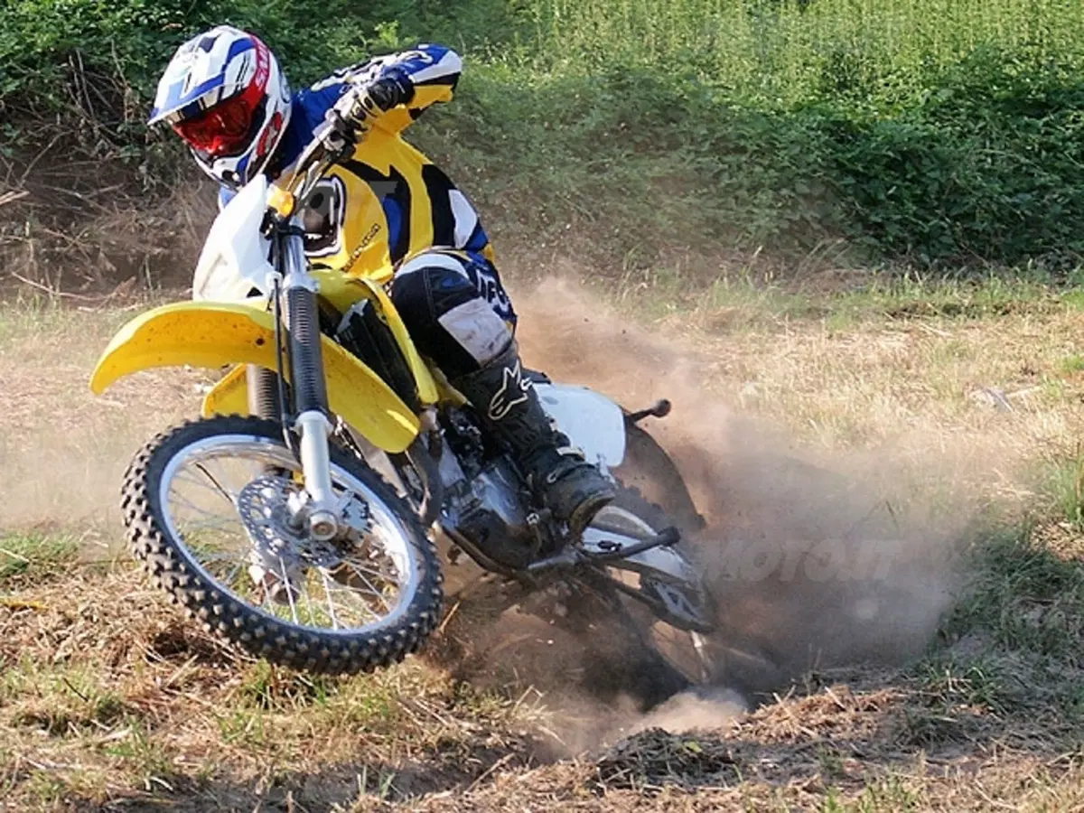 SUZUKI (5)