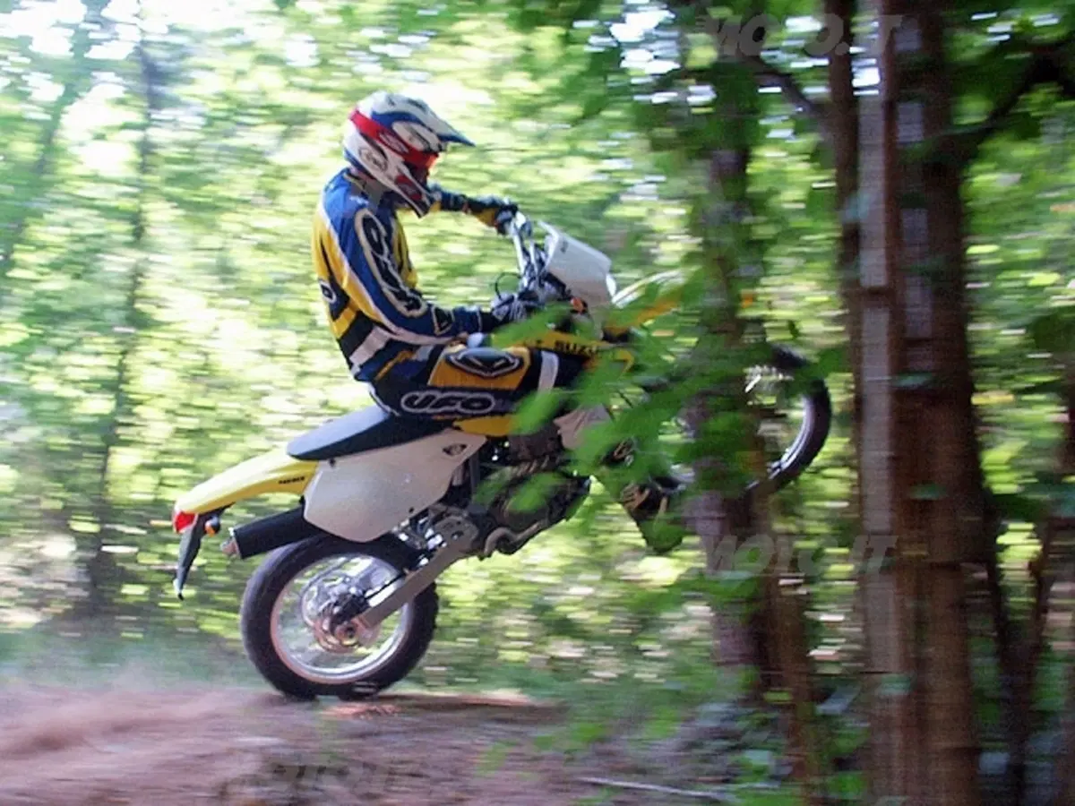 SUZUKI (6)