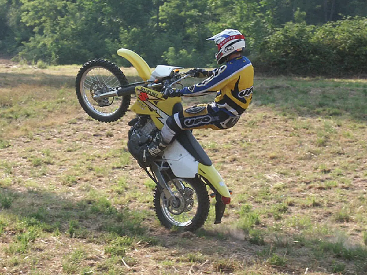 SUZUKI (8)