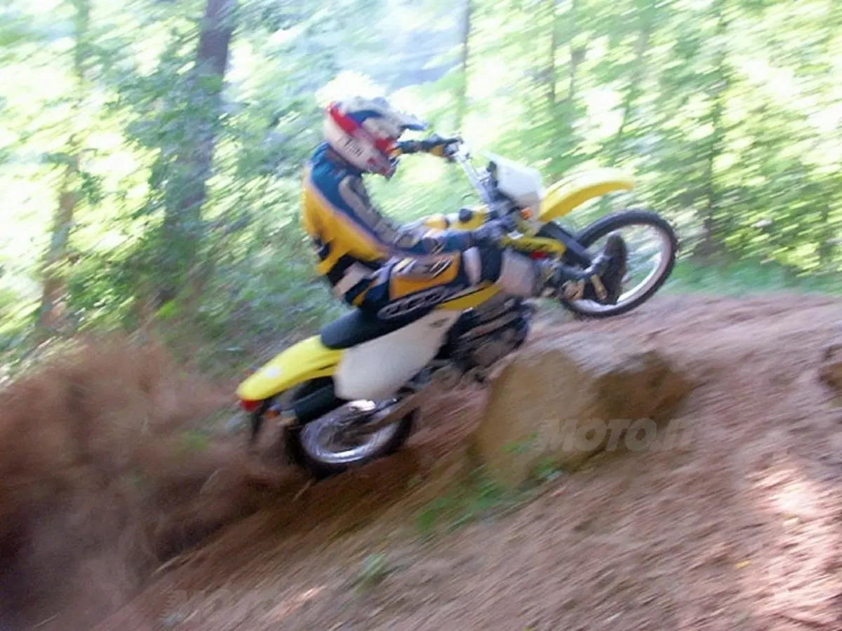 SUZUKI (10)