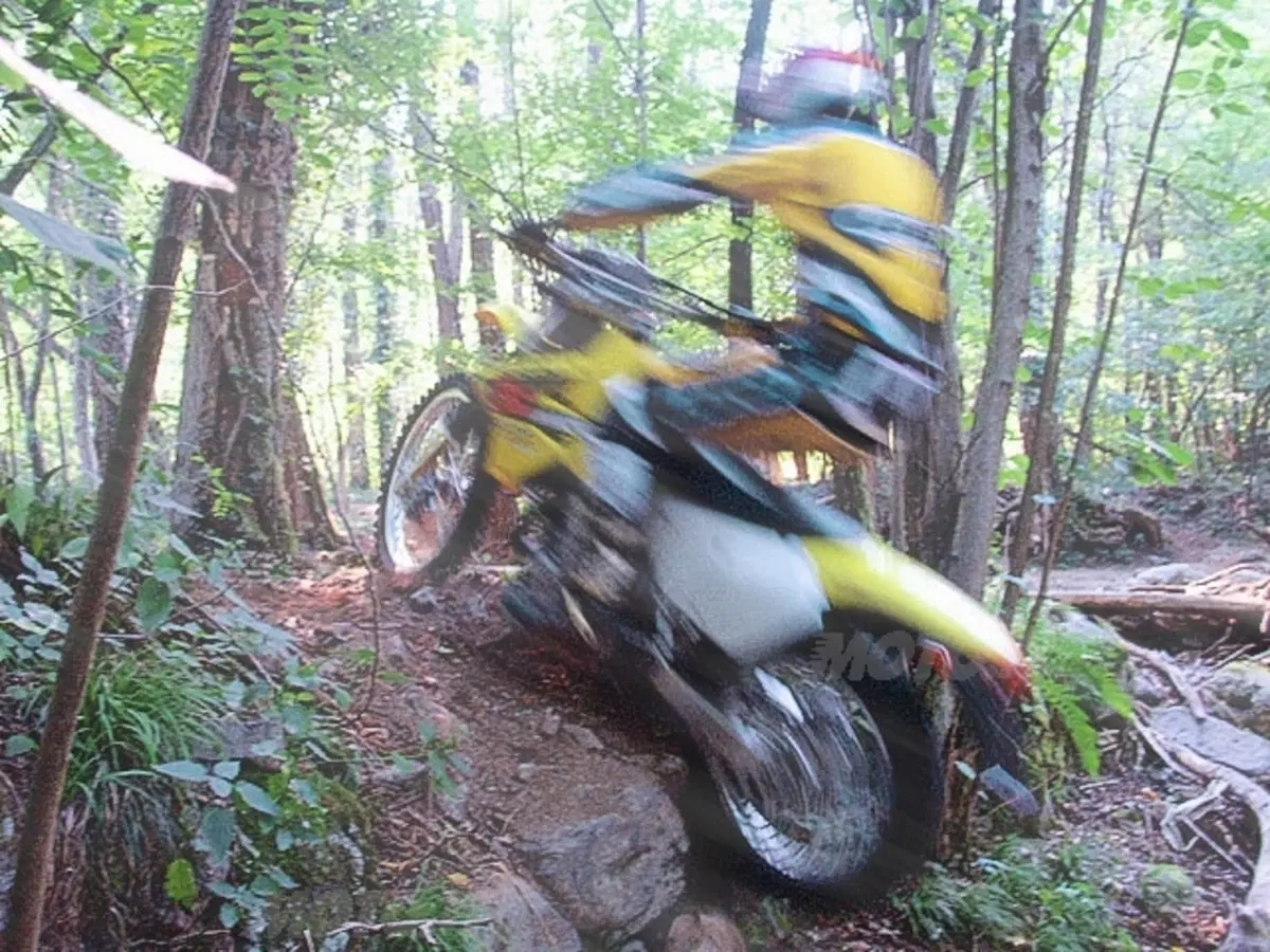 SUZUKI (11)