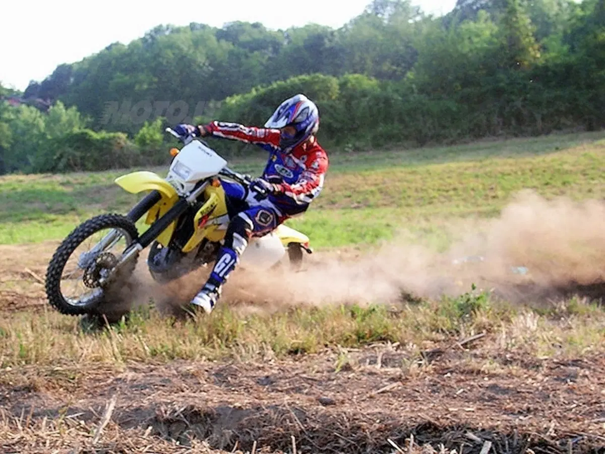 SUZUKI (12)