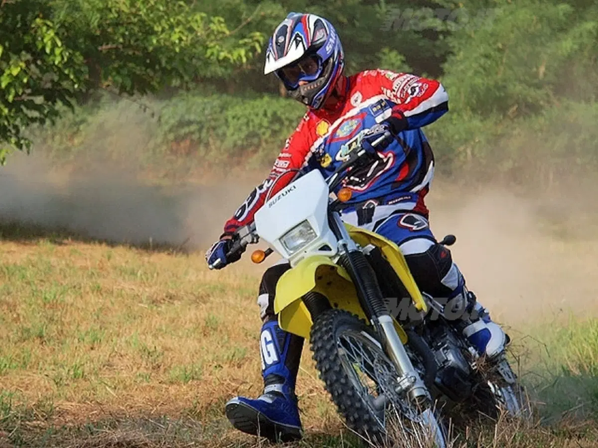 SUZUKI (13)