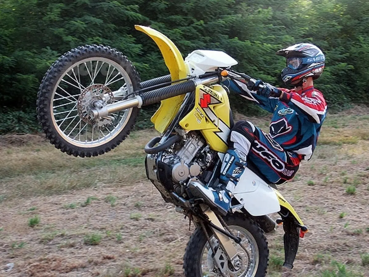 SUZUKI (14)