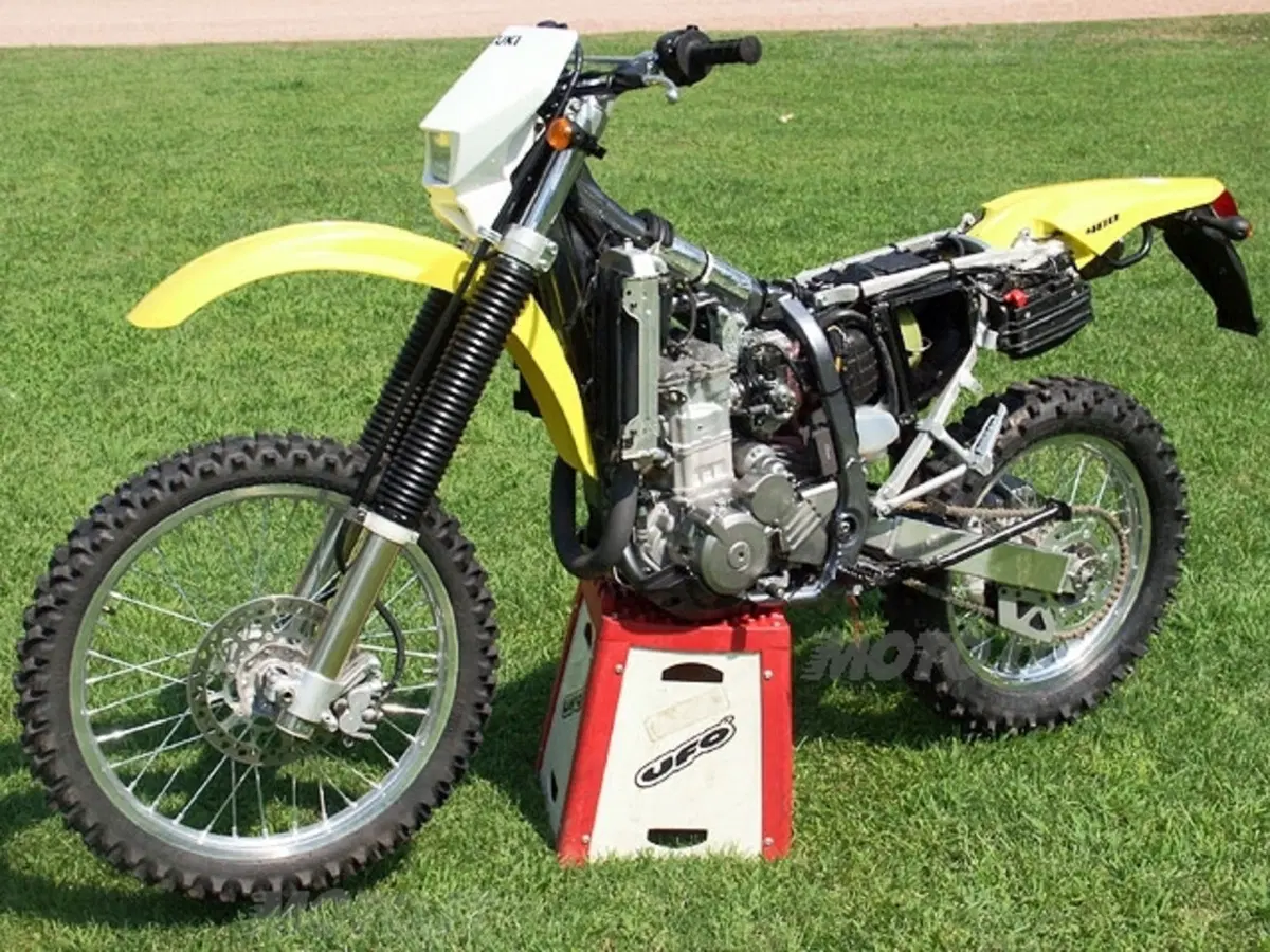 SUZUKI (15)
