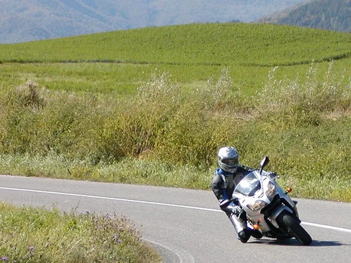 KAWASAKI Ninja ZX-9R (8)