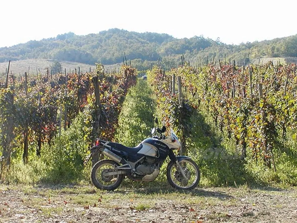 KAWASAKI KLE 500 (10)