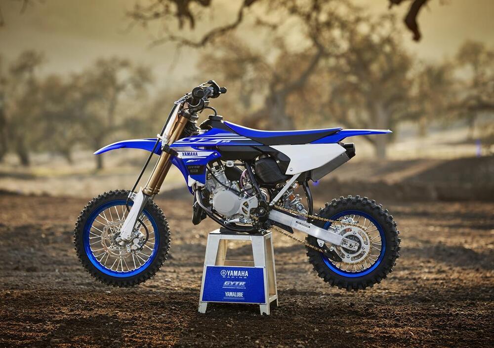 Yamaha YZ 65 (2018 - 20) (5)