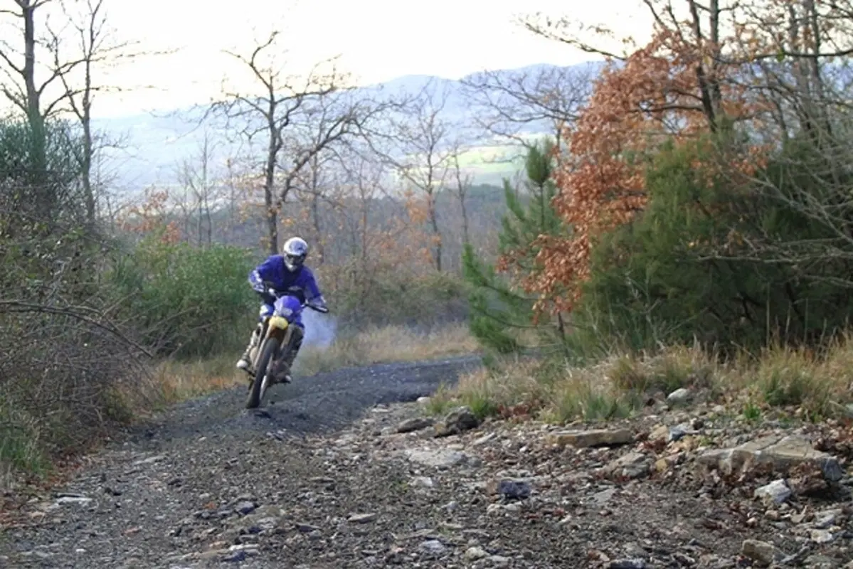HUSQVARNA WR 250 e TE 250 (21)