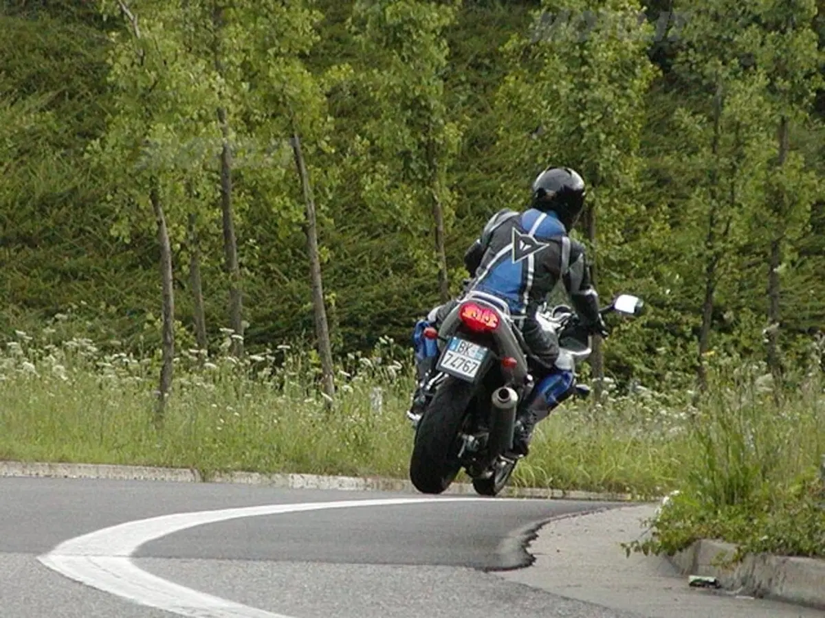 SUZUKI GSF 600 Bandit S (5)