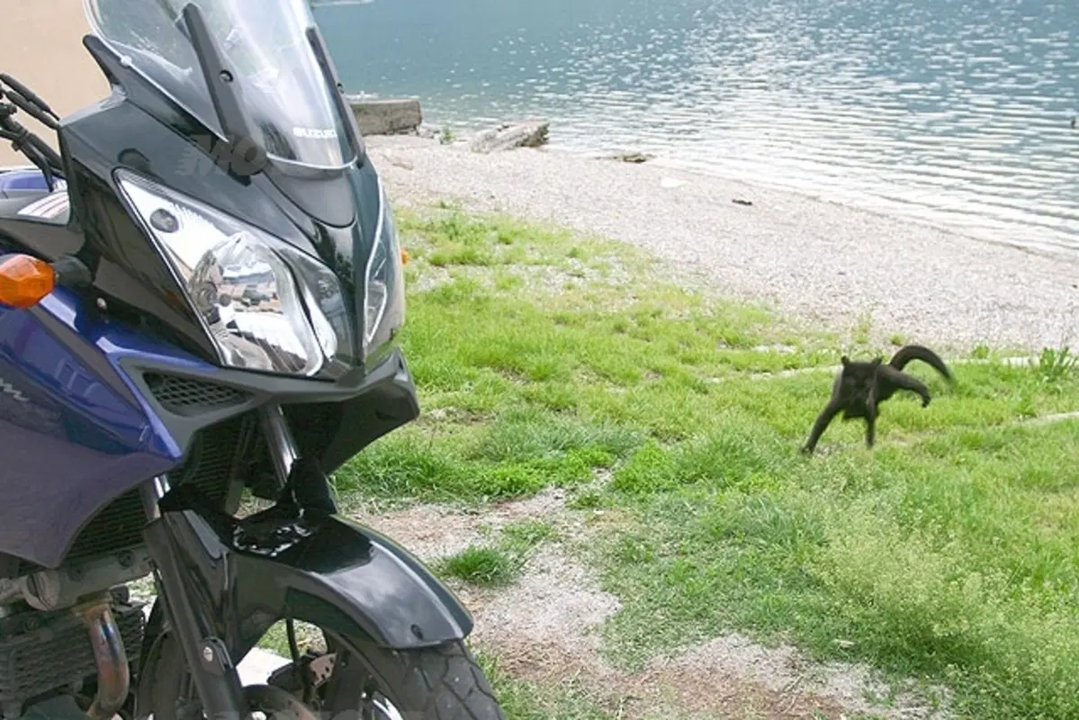 BMW R1200 GS e SUZUKI V-Strom 1000 (14)