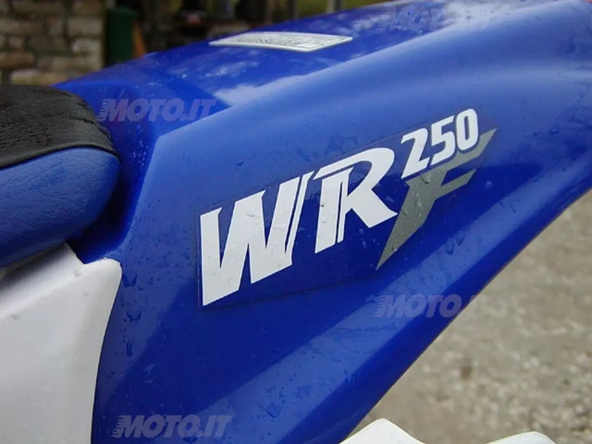 YAMAHA WR 250 F (14)