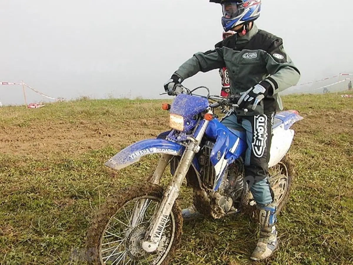 YAMAHA WR 250 F (17)