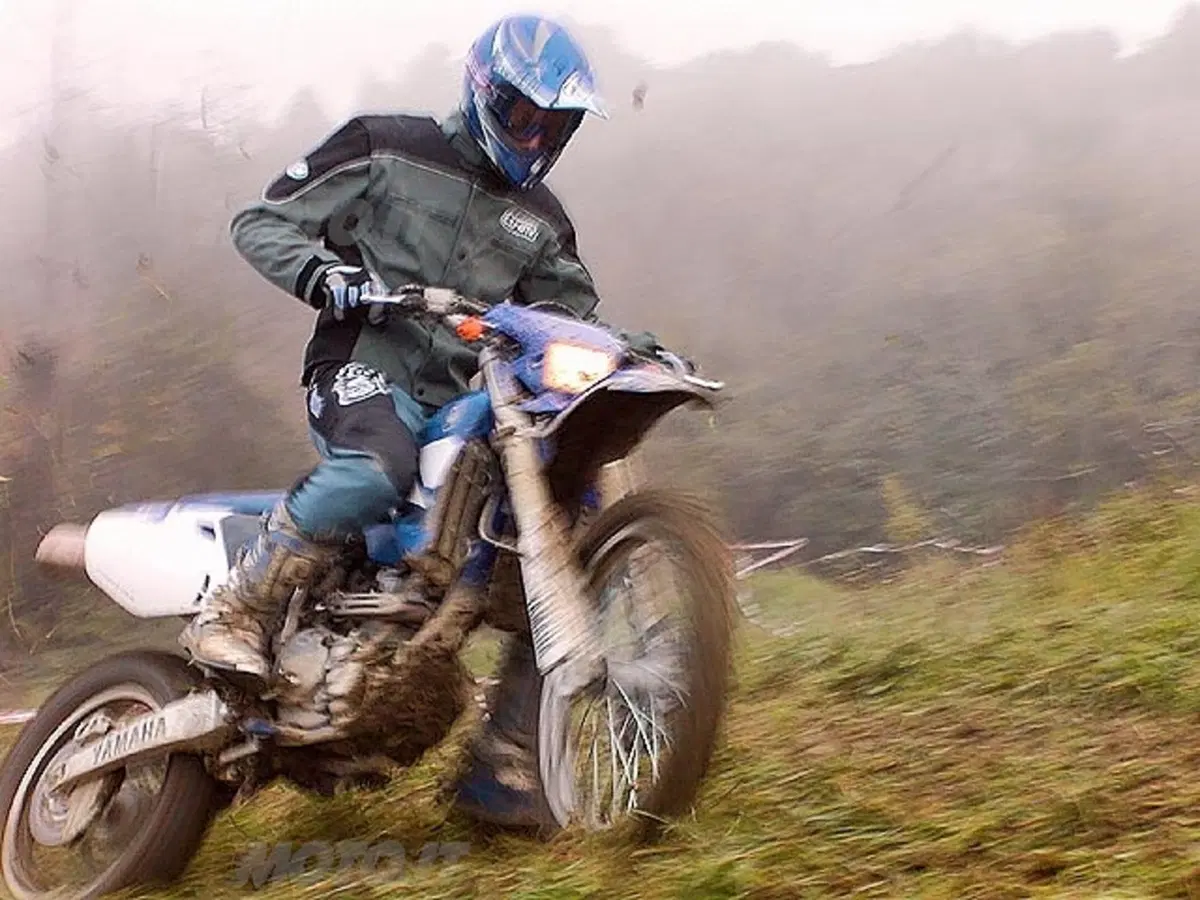 YAMAHA WR 250 F (19)