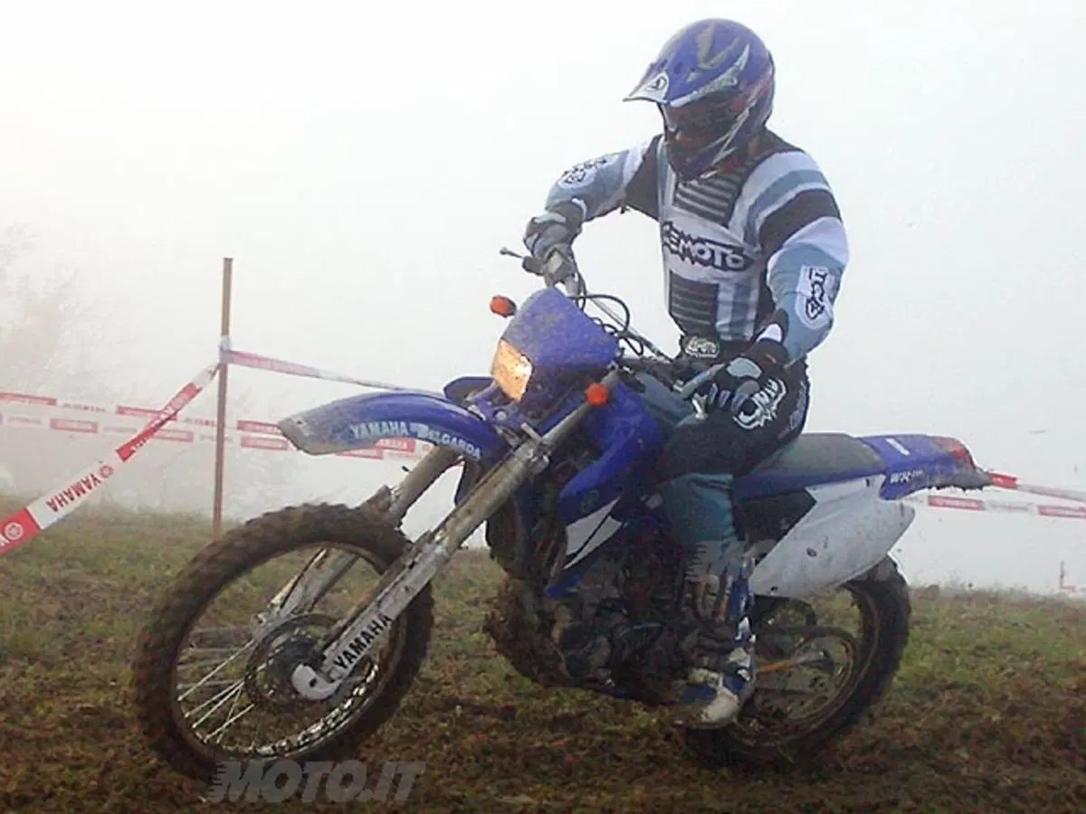 YAMAHA WR 250 F (23)