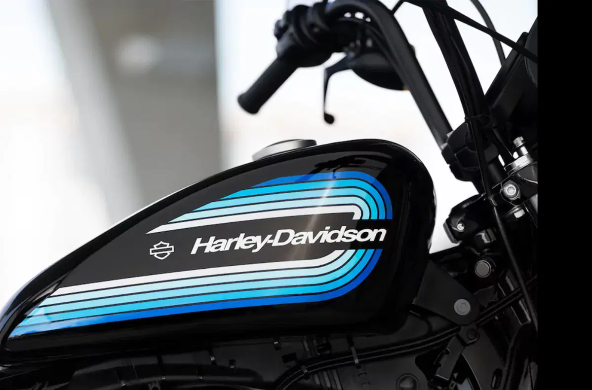 Harley-Davidson Sportster 1200 Iron (2018 - 20) - XL1200N (5)