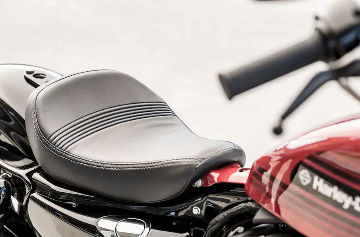 Harley-Davidson Sportster 1200 Forty-Eight Special (2018 - 20) (3)