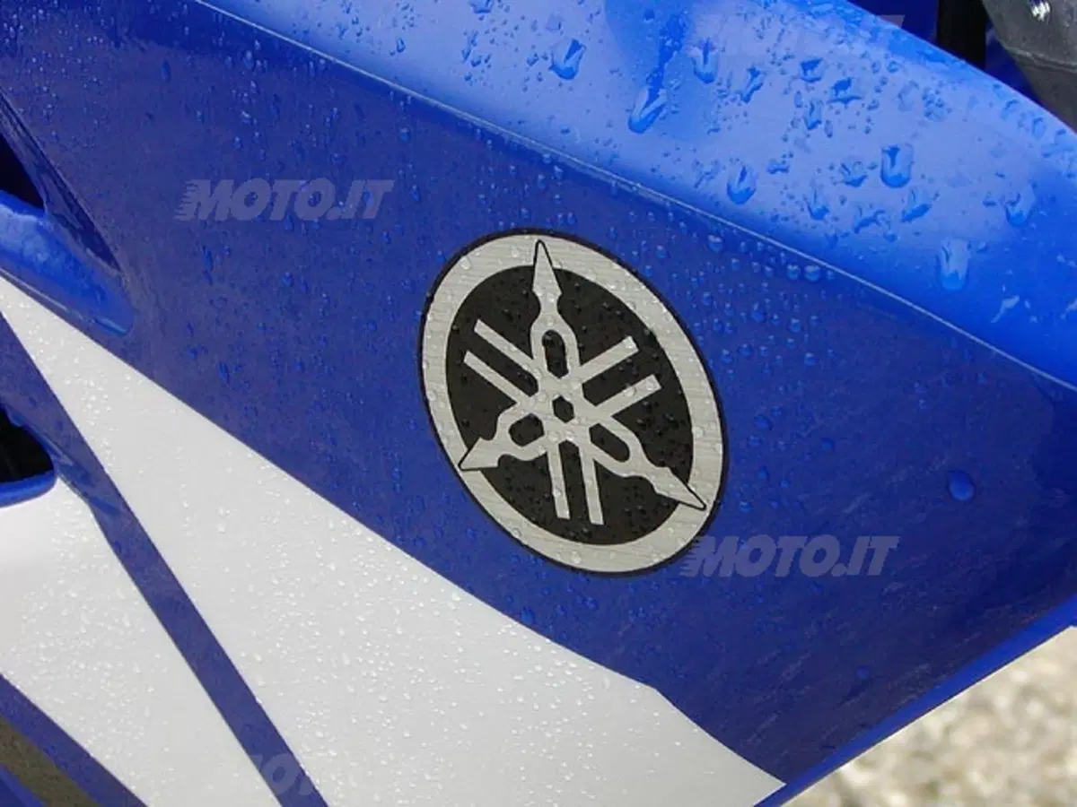 YAMAHA WR 450 F (16)
