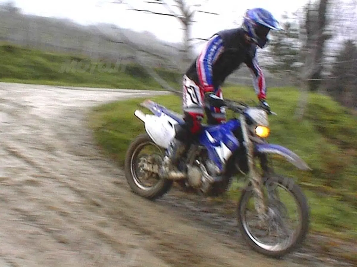 YAMAHA WR 450 F (20)