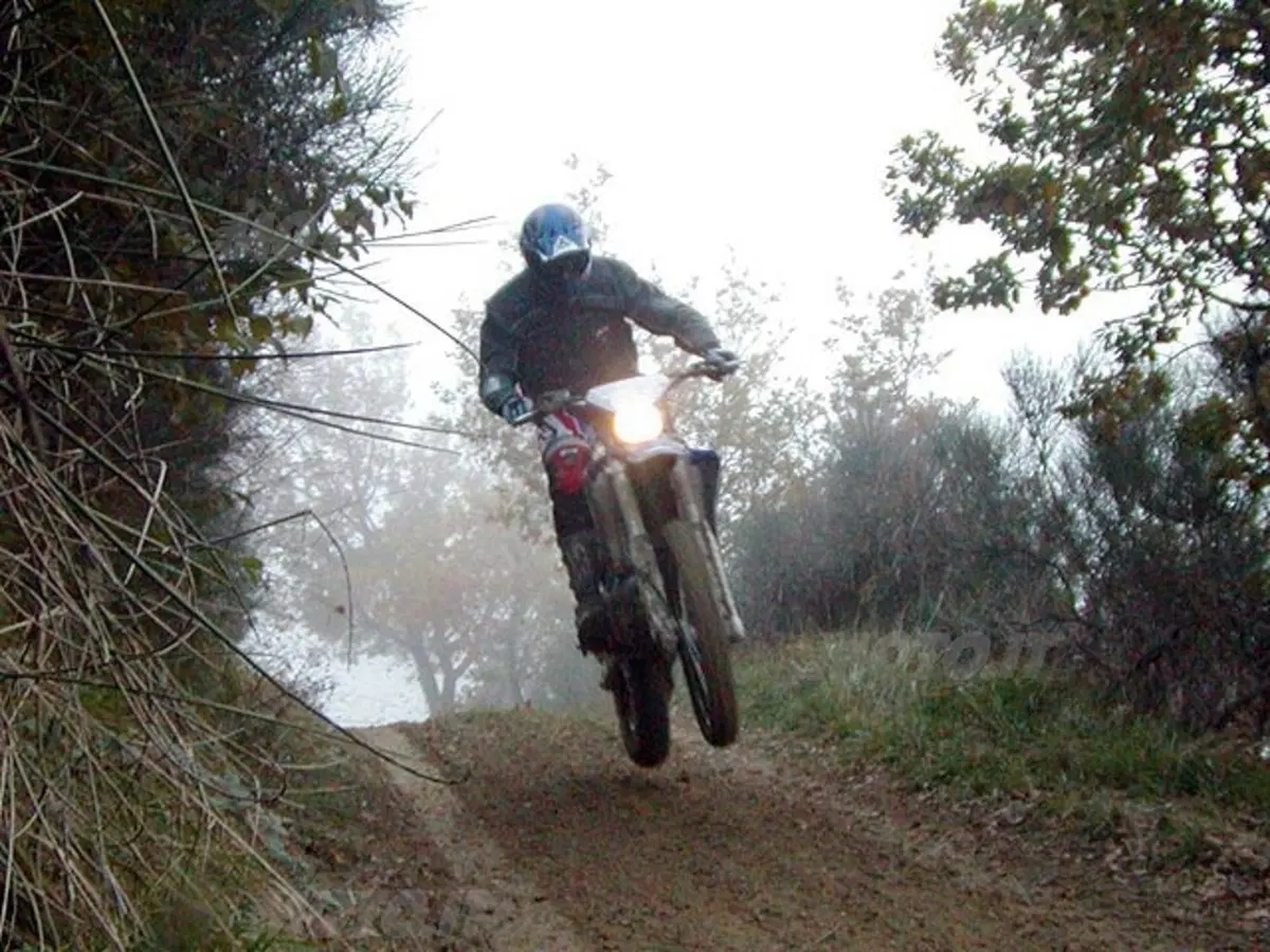 YAMAHA WR 450 F (22)