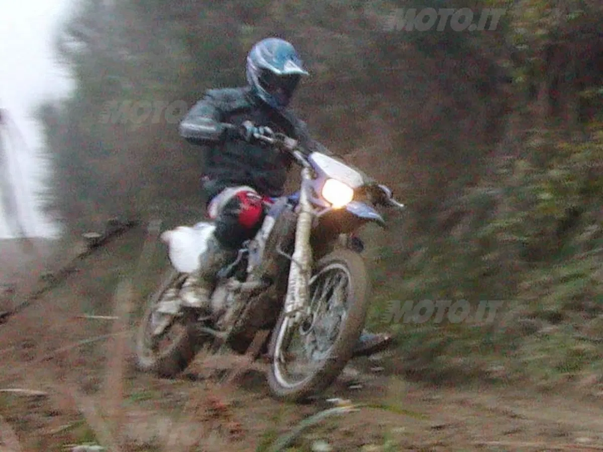 YAMAHA WR 450 F (23)