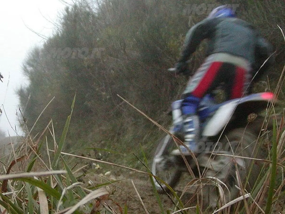 YAMAHA WR 450 F (24)