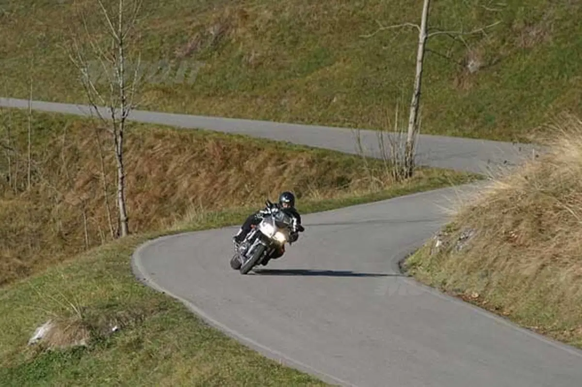 SUZUKI SV 1000 S (2)