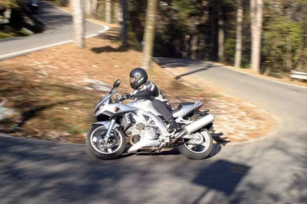 SUZUKI SV 1000 S (4)