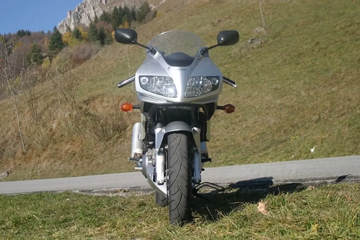 SUZUKI SV 1000 S (5)