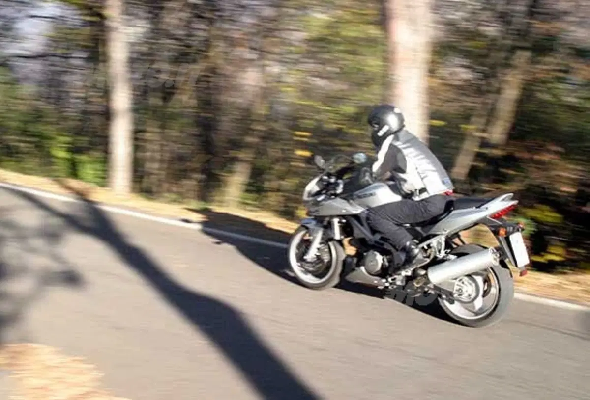 SUZUKI SV 1000 S (6)