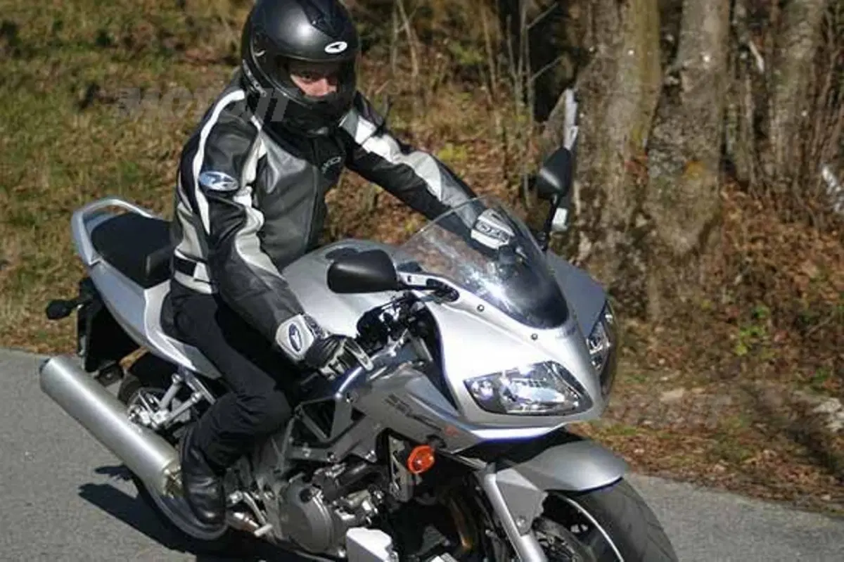 SUZUKI SV 1000 S (8)
