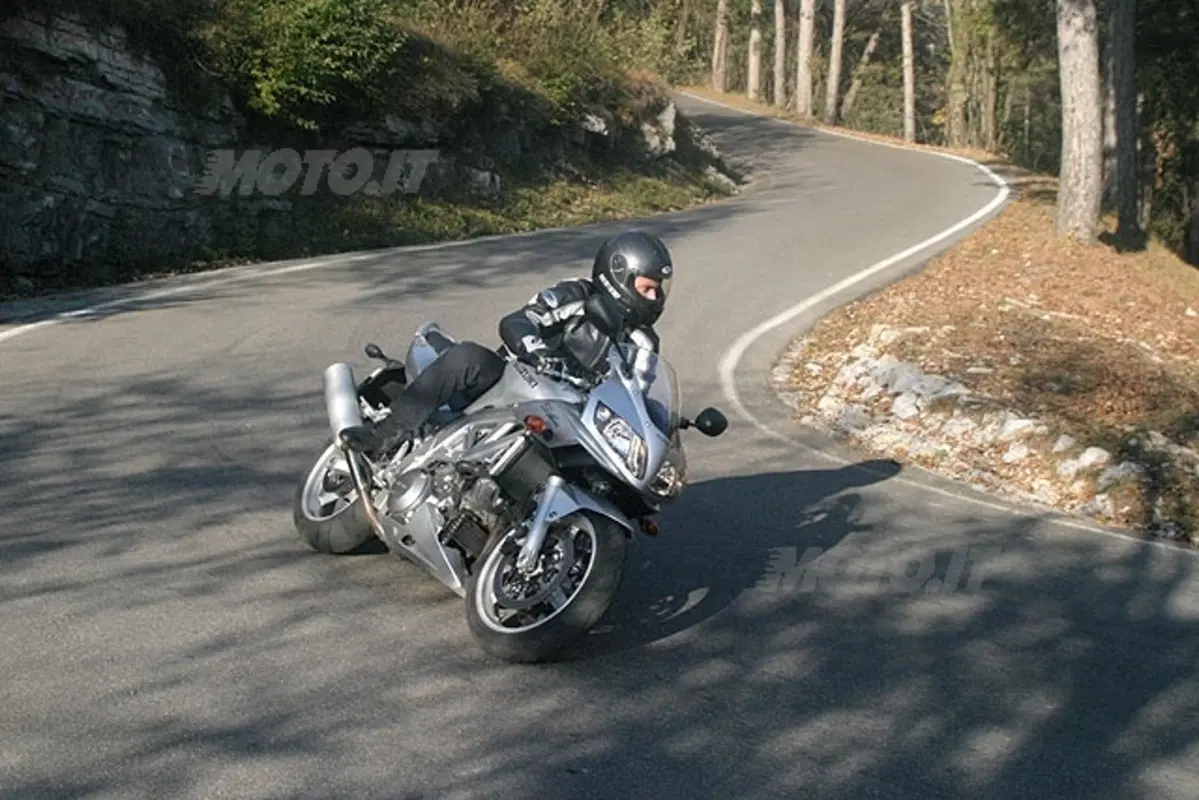 SUZUKI SV 1000 S (15)