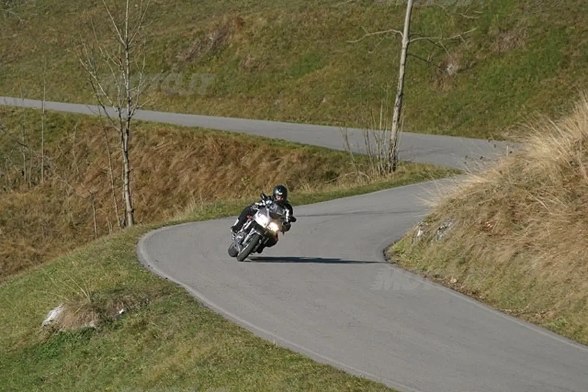 SUZUKI SV 1000 S (16)