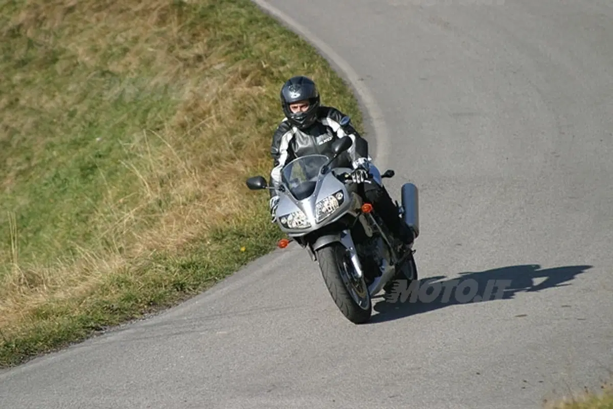 SUZUKI SV 1000 S (18)