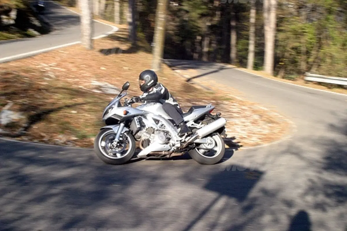 SUZUKI SV 1000 S (19)