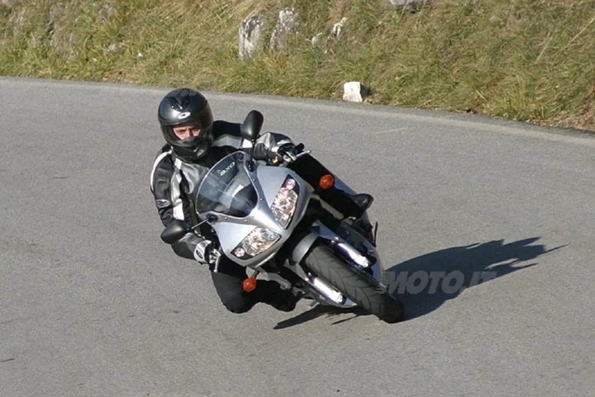 SUZUKI SV 1000 S (20)