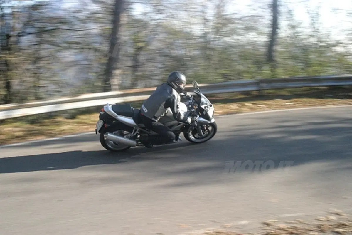 SUZUKI SV 1000 S (21)
