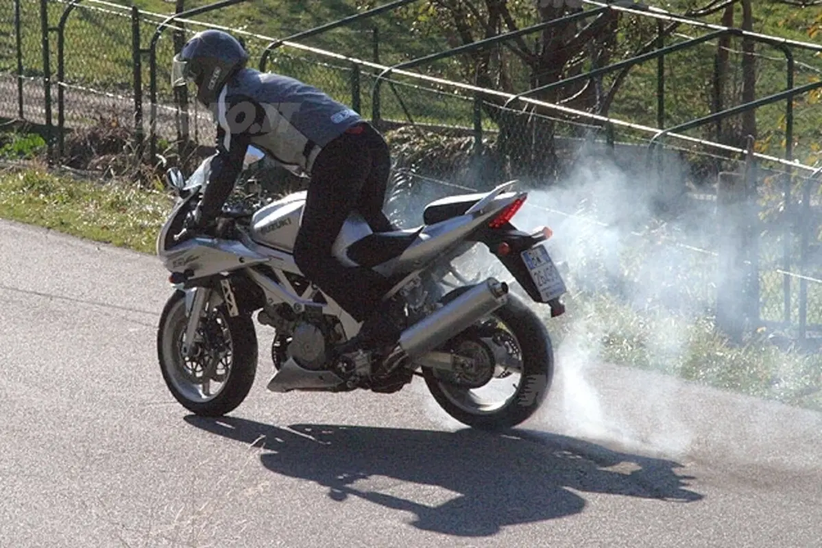 SUZUKI SV 1000 S (23)